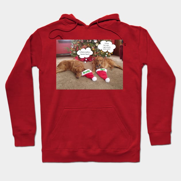 Brady and Rex at Christmas Hoodie by wendylegeret